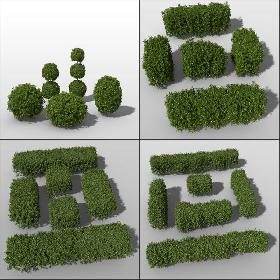 Boxwood Bundle vol1